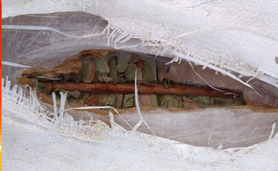Approx. 120kg of smuggled Tendu leaves seized in Kalpitiya
