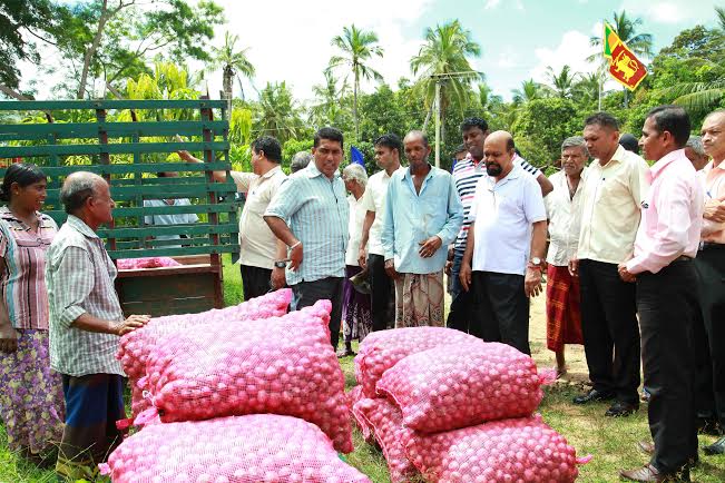 Lanka Sathosa purchasing big onion 
