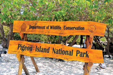 pigeon island national park2