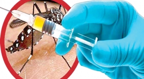 Sri Lanka aiming at new dengue vaccine