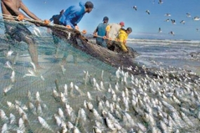 Rs. 2.5 bn to develop fisheries resources