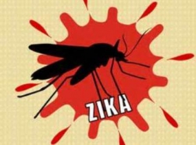 Zika virus: Risk higher than first thought, say doctors