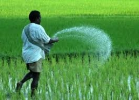 Fertilizer subsidy for farmers from April