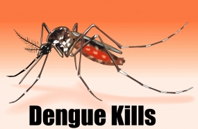Over 8,500 dengue cases reported in Jan. and Feb.
