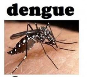 Special Dengue Eradication Programme from Jan.28