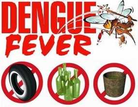 Three-day mission search for dengue breeding grounds