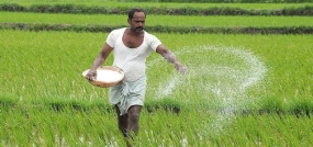 Govt. to deposit cash to farmers’ bank accounts for fertilizer