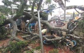 Rs. 10,000 Compensation each  for 217 houses in Ampara affected by winds