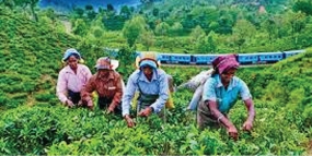 April 2018 tea exports up on last year