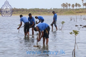 Navy plants Mangroves on International Day