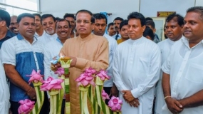 Laws to cultivate private lands which are not cultivated – President