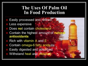Palm Oil Industry Association launched to advocate sustainable growth