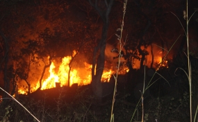 Troops Douse Wild Fire in Diyaluma