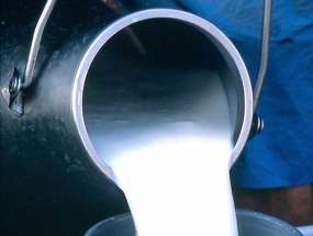 Six small scale milk processing Centers to be established
