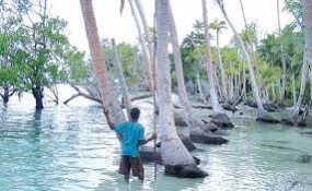 Rising seas swamp Marshall Islands