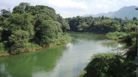 Harmful human activity polluting Mahaweli River