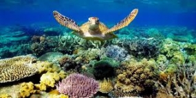 Industry threatens nearly half of natural heritage sites: WWF