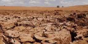 Rs. 9,000 mn to help drought stricken