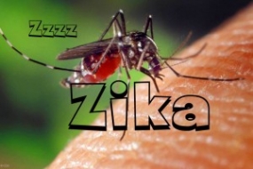 Sri Lanka sets up Zika virus screening facilities at the main airport