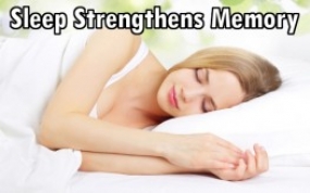 Memory awakens with a full night of sleep, says U.S. study