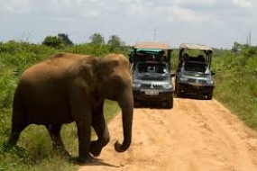 Udawalawe National Park to be developed as a tourist zone
