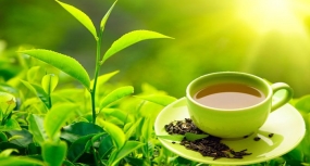 Sugar Killer Tea comes to Lankan market