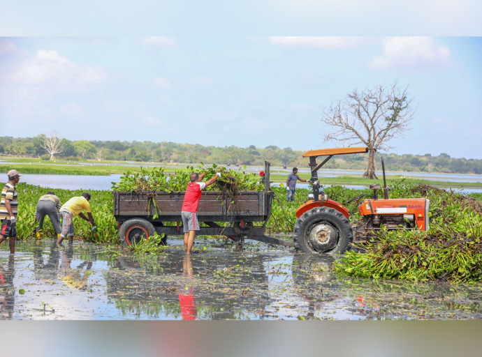 Programme to Enrich Ecosystems for Elephants Launched at Tabbowa Tank Premises