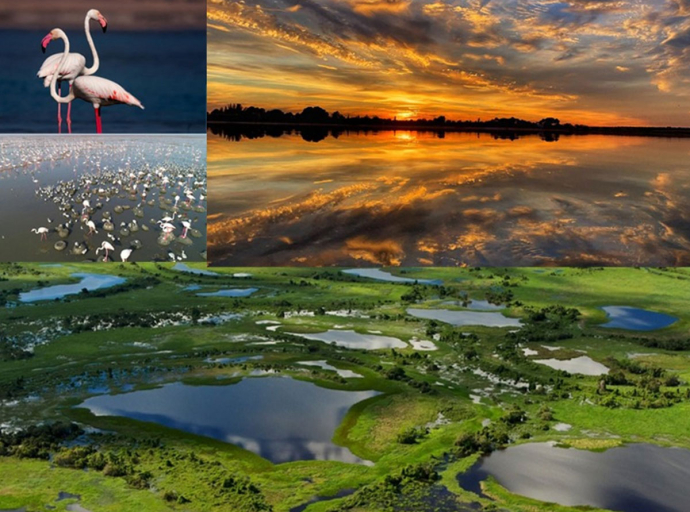 World Wetlands Day 2026 National Celebration Held in Battaramulla