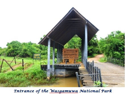 Wasgamuwa 01