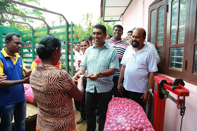 Lanka Sathosa purchasing big onion