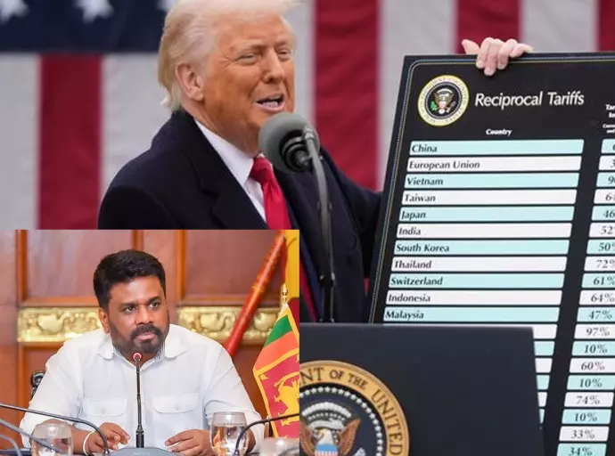 President Appoints Committee to Submit Recommendations to the Government on the New US Tariff System