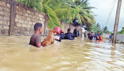 Floods in the North : Armed Forces’ swift action saves many lives