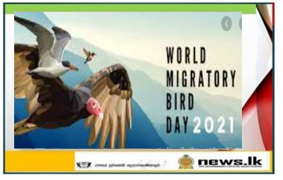 Today is the World Migratory Bird Day