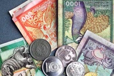 Sri Lanka's Exchange Rate Behaviour