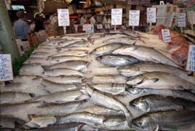 Fixed Prices for Fish on a directive of President