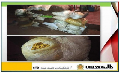 Navy takes hold of about 670kg of smuggled dried turmeric and 03 suspects in Puttalam