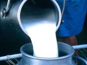Dutch experience for Sri Lankan Dairy Production