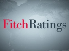 Sri Lanka consumer durables demand to remain healthy in 2016 - Fitch