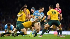 Rugby World Cup: Australia beat Argentina to reach final