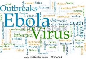 Unprecedented outbreak of the Ebola virus