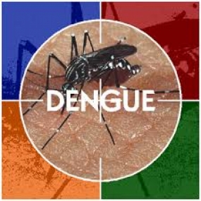 16.611 cases of suspected dengue