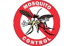 National Mosquito Control Week from June 4 - 6