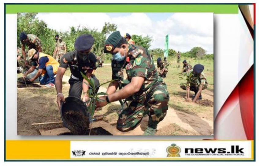 Army’s drive to re-plant Wilpattu Forest Reserve