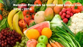 Three-year National Program to boost food production