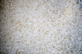 Rice imports allowed upto next April