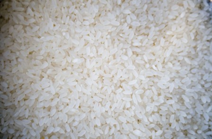 Rice imports allowed upto next April