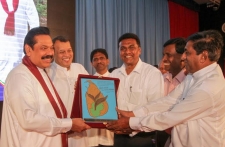 Best Tea Small Holders receive awards from President