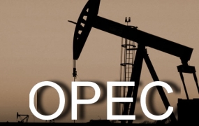 Oil price plunges, dividing Opec members at meeting
