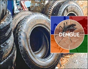 Legal action against owners of 426 premises during anti-dengue drive