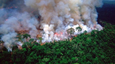 Amazon fires: Fines for environmental crimes drop under Bolsonaro